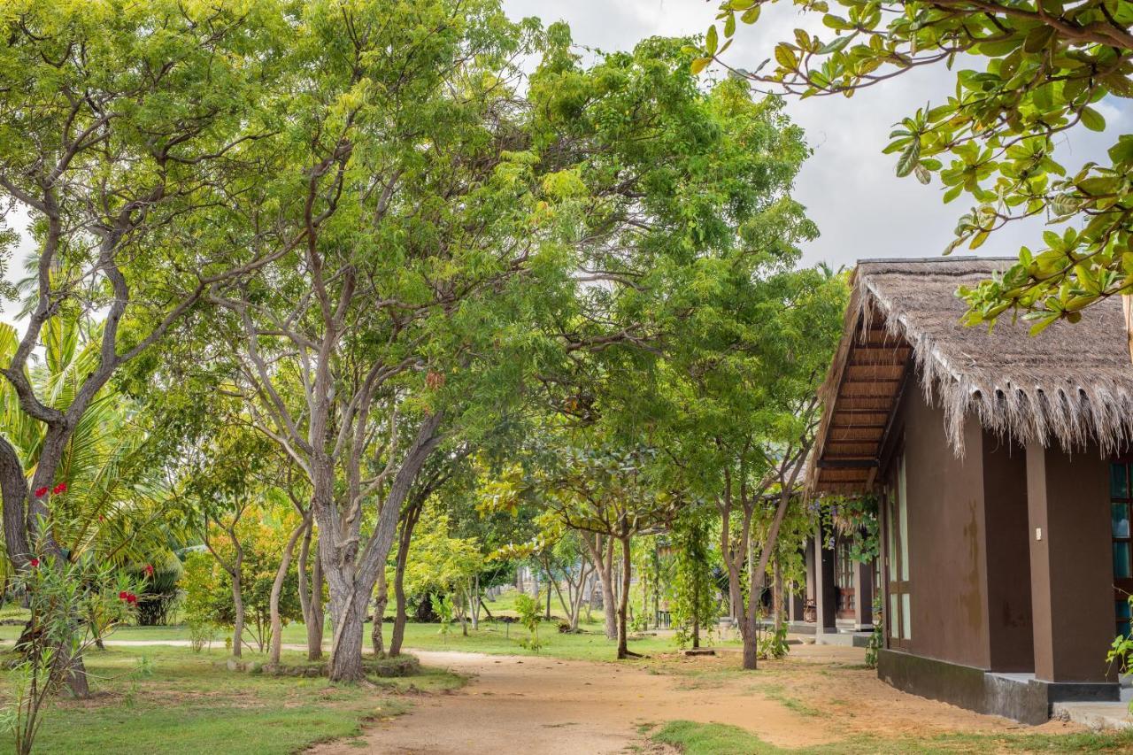 Club Mango Resort Kalpitiya Extérieur photo